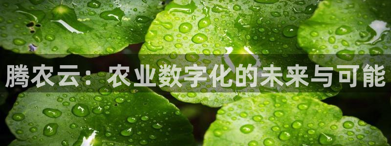天辰娱乐总管年薪