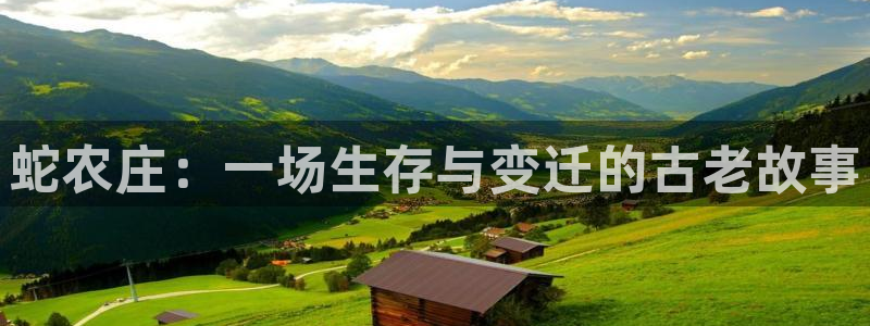 天辰娱乐_675138