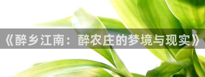 天辰宝娱乐