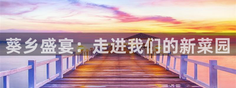 天富娱乐天辰娱乐
