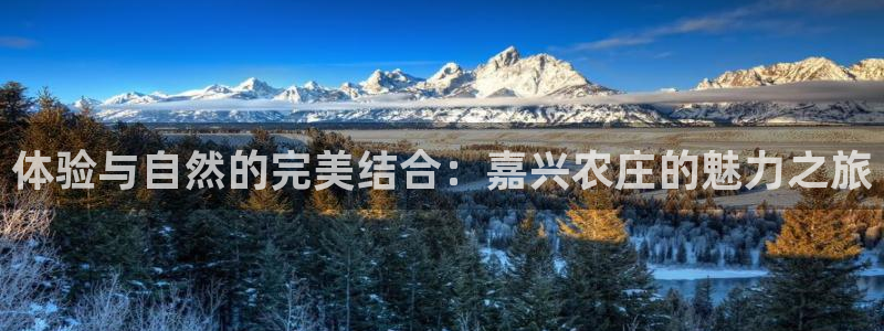 天辰app娱乐