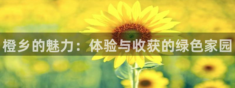 天辰娱乐官方