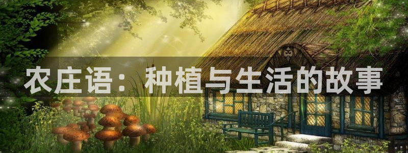 天辰app娱乐