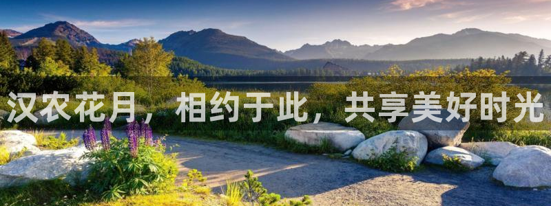 天辰娱乐海洋