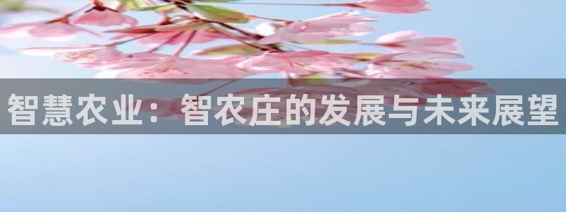 天辰娱乐1966