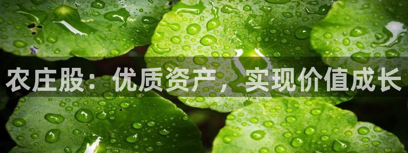 天辰娱乐tff