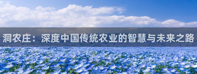 天辰娱乐股票
