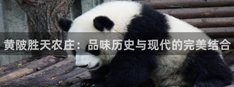 大庆天辰娱乐