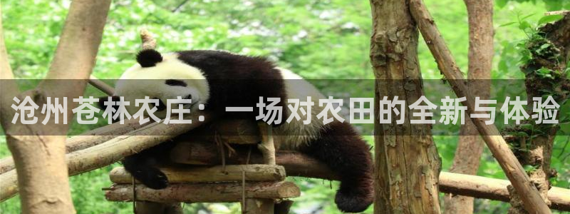 天辰娱乐直属