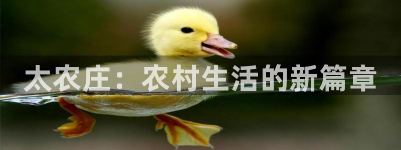 天辰娱乐官