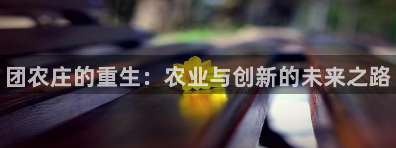 天辰团队贝高娱乐