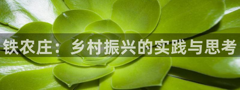 天辰娱乐 主管