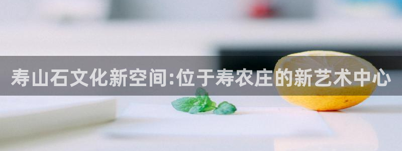 天辰彩票娱乐