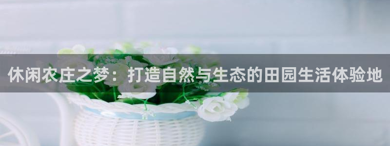 天辰娱乐平台