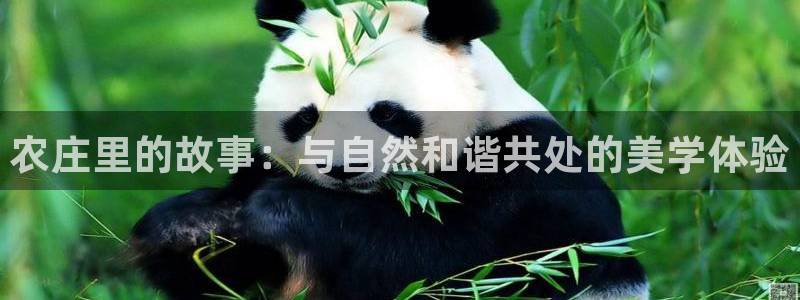 天辰娱乐官方网