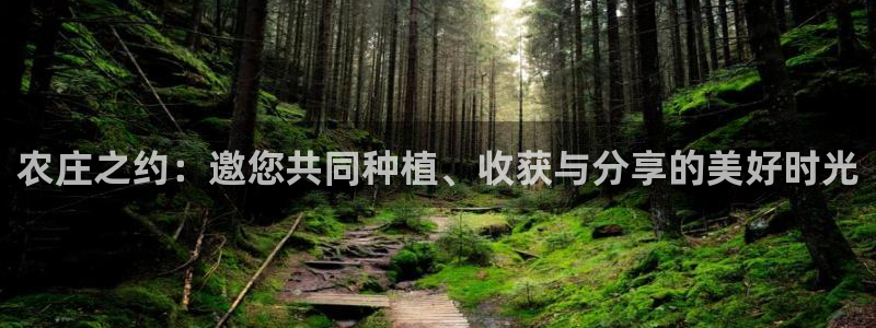 天辰娱乐557448