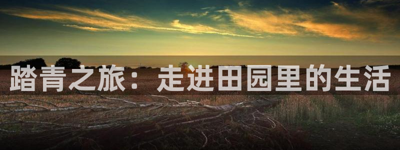 天辰娱乐鱼刺