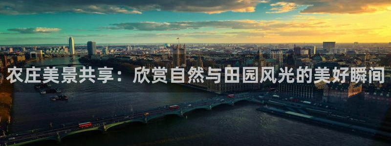 天辰娱乐官网平台入口