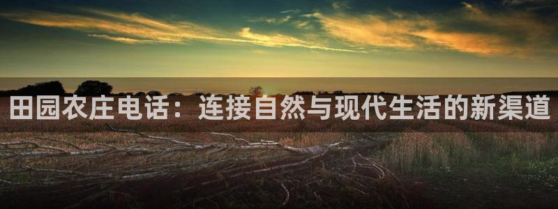 天辰彩票娱乐