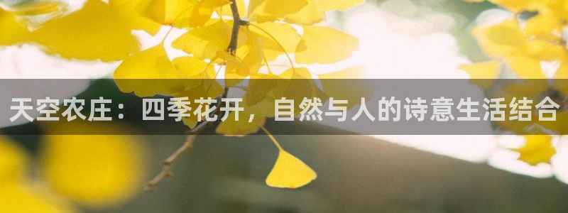 天辰娱乐首选
