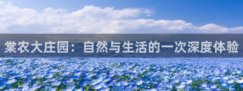 天辰团队贝高娱乐