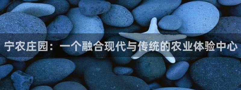 天辰娱乐天辰宝
