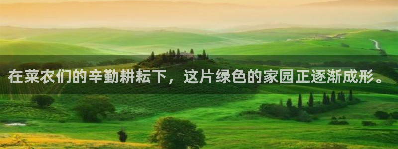 天辰娱乐十分彩