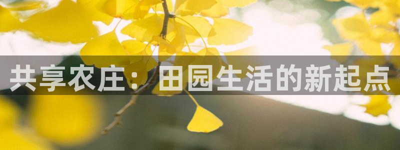 天辰娱乐新