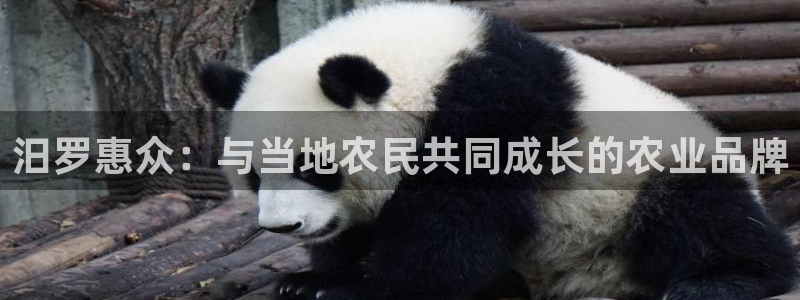 天辰娱乐指定