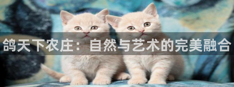 天辰娱乐解封