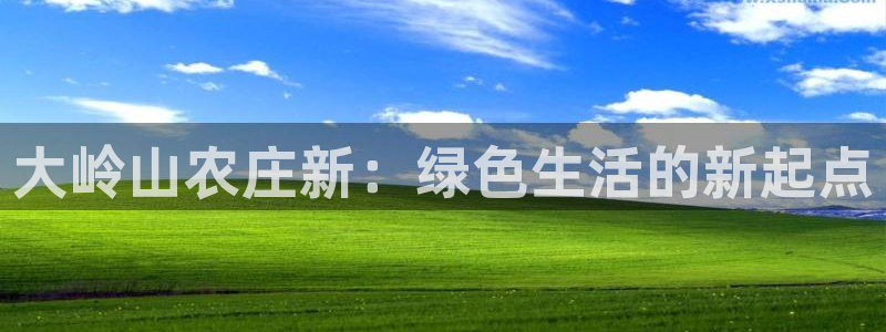 天辰娱乐61116