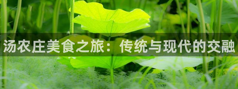 天辰宝宝娱乐