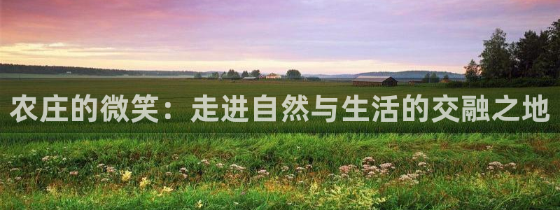 天辰娱乐官方网