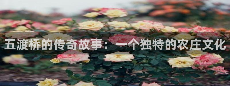 天辰娱乐网