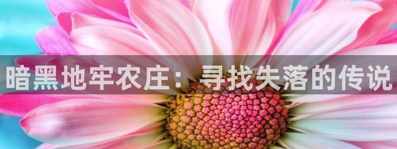 天辰娱乐平台安全吗