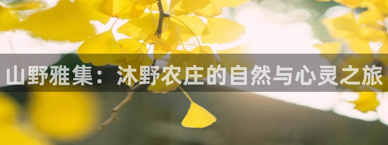 天辰娱乐