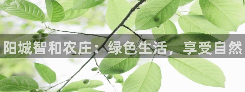 天辰娱乐 231639