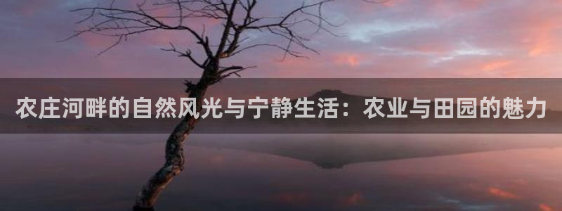 天辰2娱乐