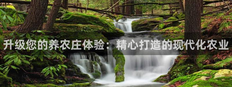 天辰娱乐老板