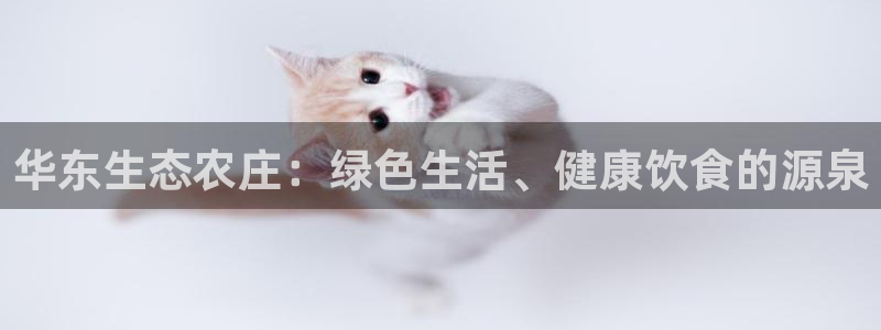 天辰娱乐总管