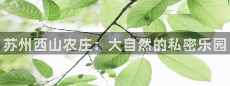 天辰娱乐股票
