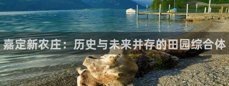 天辰娱乐海洋