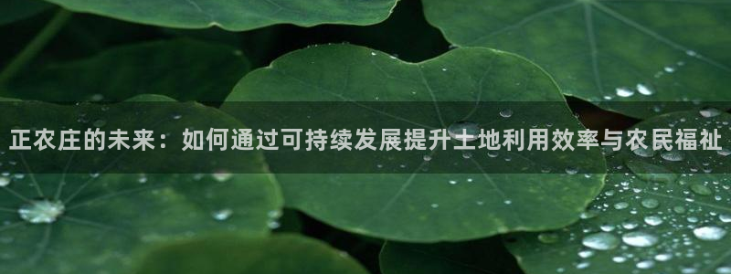 天辰娱乐7天22650