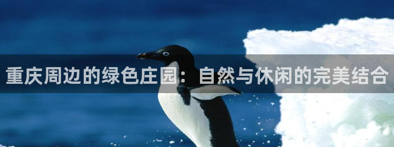天辰娱乐官网平台下载