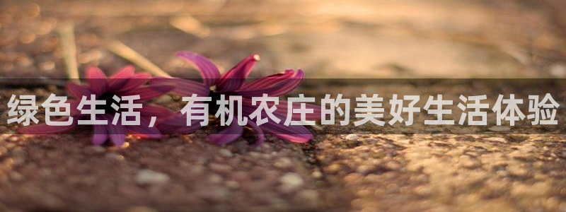 天辰娱乐 39974