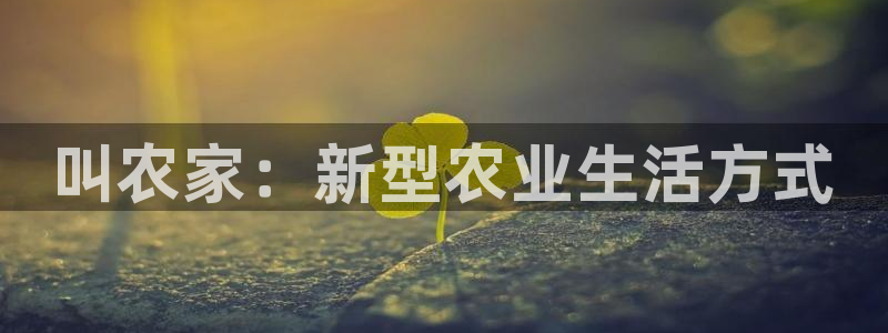 天辰娱乐 . 鱼刺