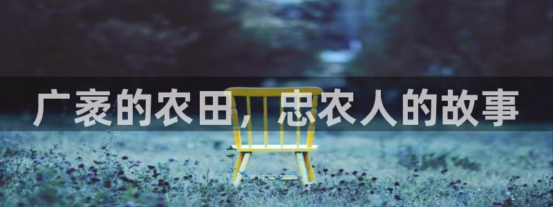天辰团队贝高娱乐