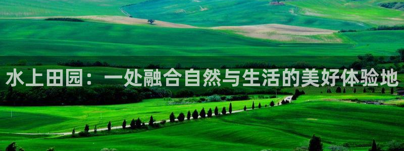 天辰娱乐老板