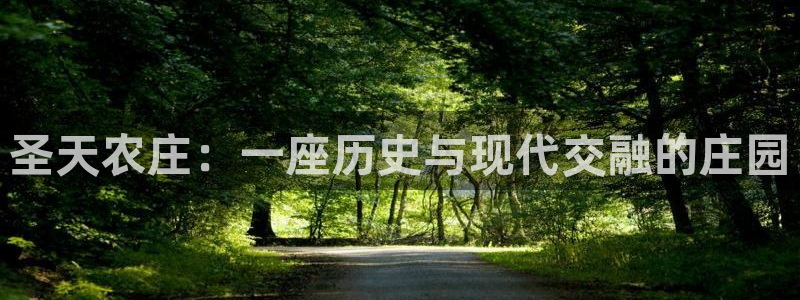 天辰娱乐首页