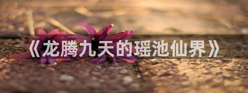 天辰宝宝娱乐